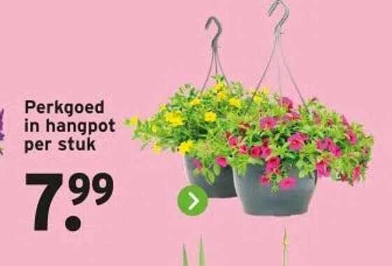 Perkgoed in hangpot per stuk