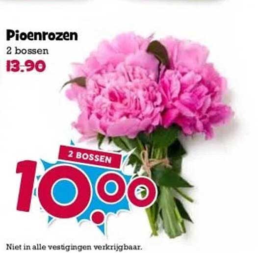 Pioenrozen 2 bossen