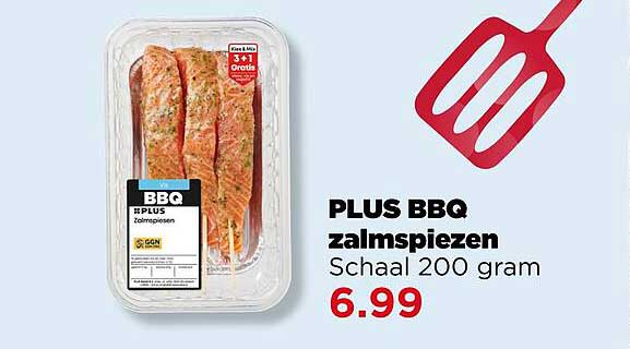 PLUS BBQ zalmspiezen Schaal 200 gram