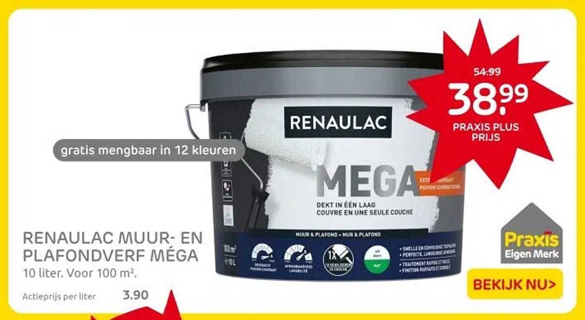 RENAULAC MUUR- EN PLAFONDVERF MÉGA