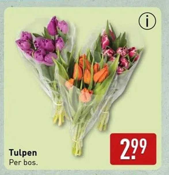 Tulpen