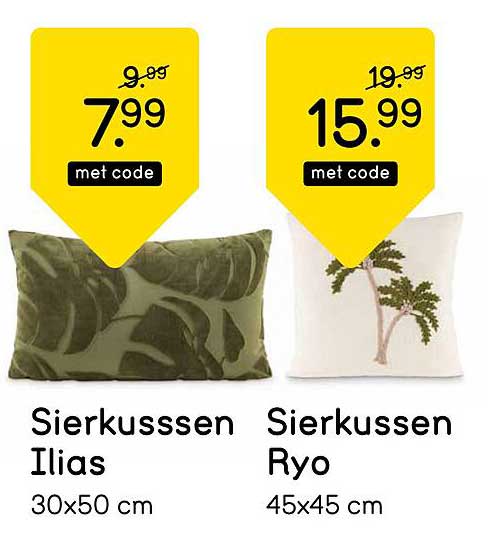 Sierkussen Ilias en Sierkussen Ryo