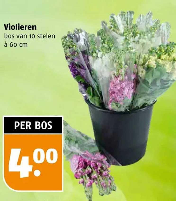 Violen bos van 10 stelen à 60 cm