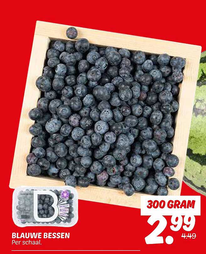 BLAUWE BESSEN
