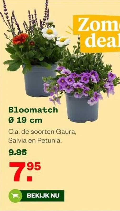 Bloomatch Ø 19 cm