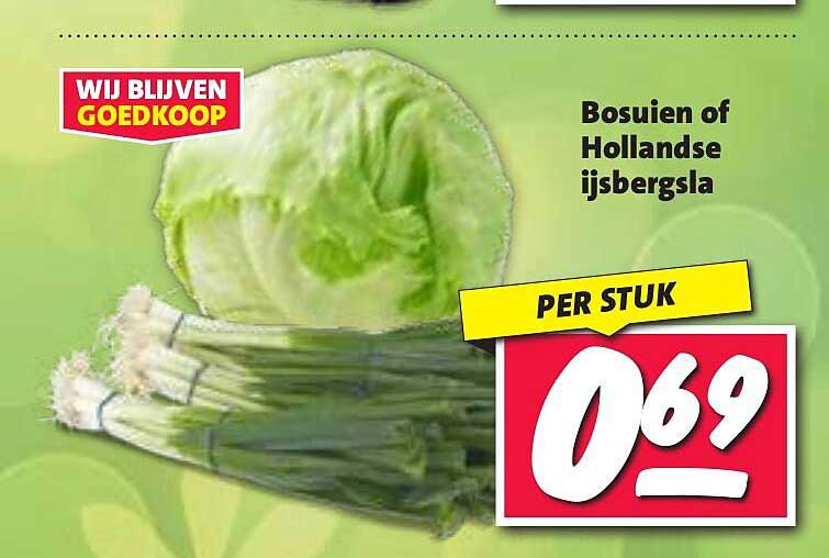 Bosui of Hollandse ijsbergsla
