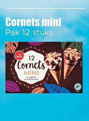 Cornets mini Pak 12 stuks.