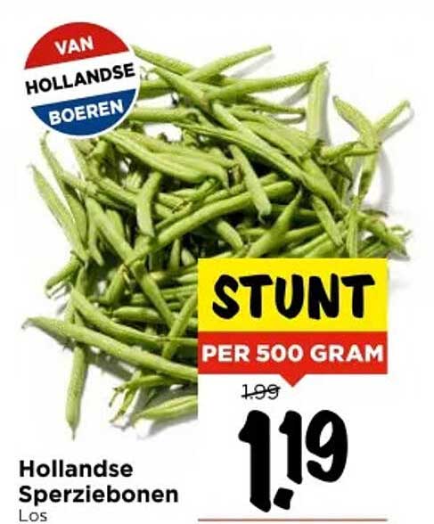 Hollandse Sperziebonen