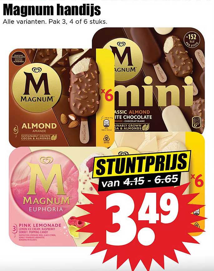 Magnum handijs