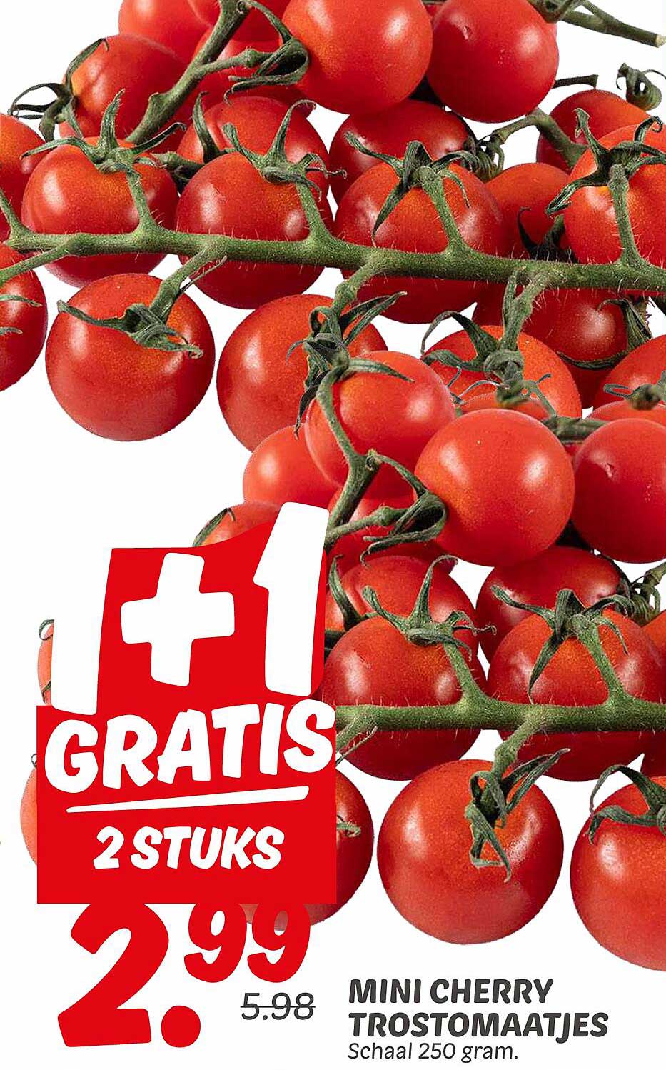 MINI CHERRY TROSTOMAATJES