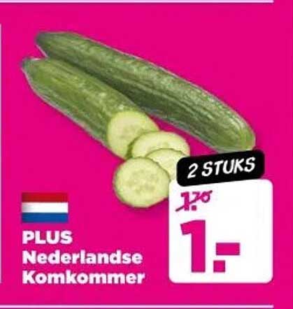 PLUS Nederlandse Komkommer