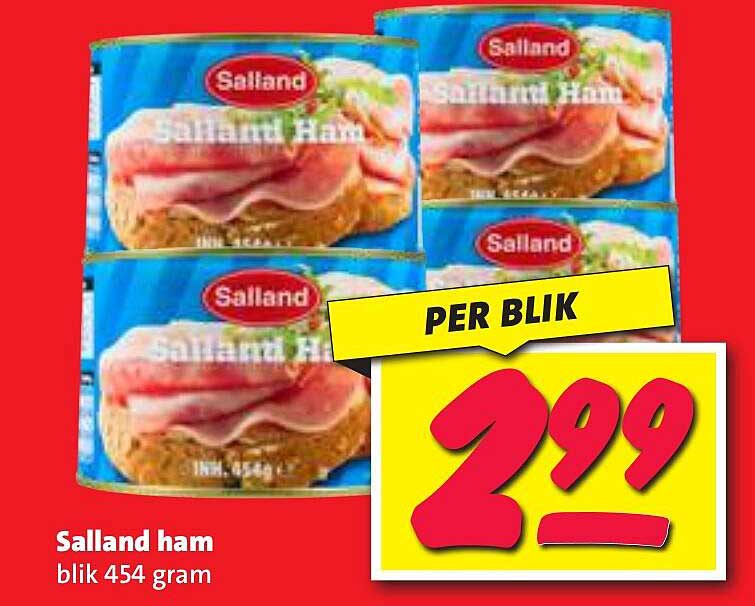 Salland ham blikkie 454 gram