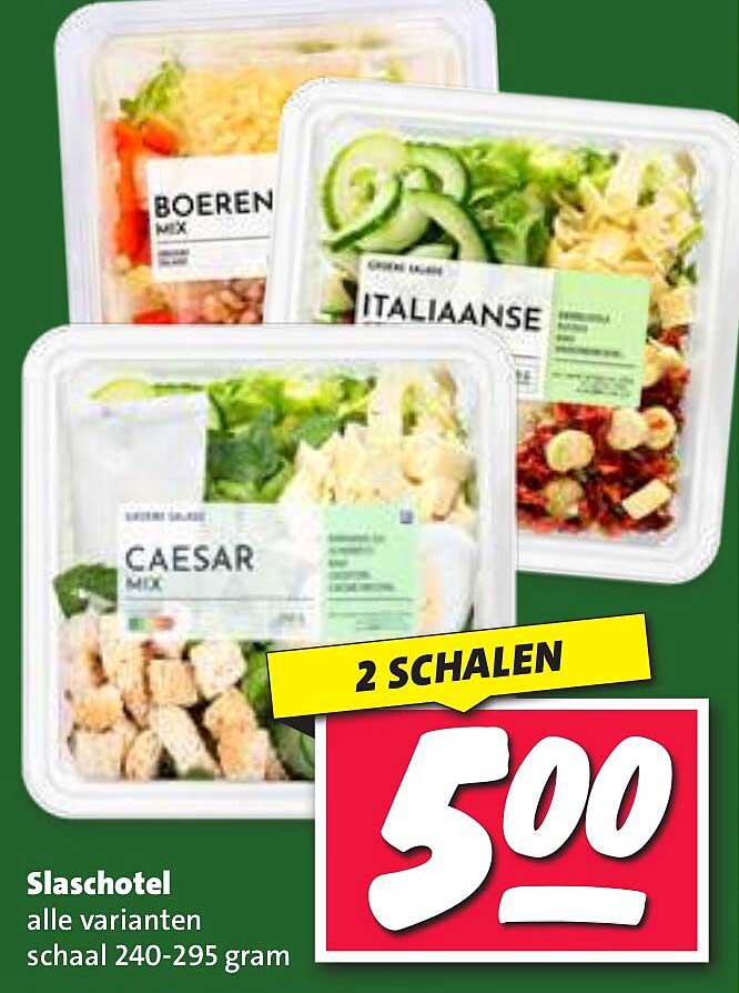 Slaschotel alle varianten schaal 240-295 gram