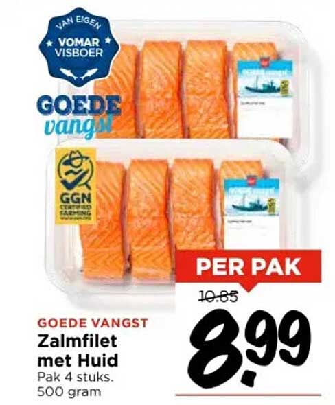 Zalmfilet met Huid