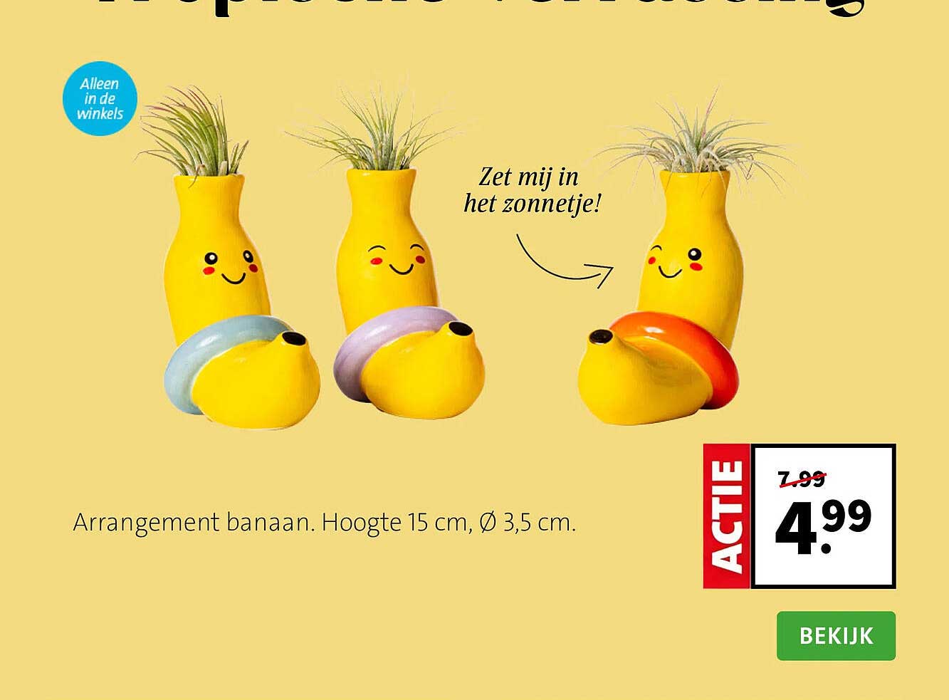 Arrangement banaan. Hoogte 15 cm, Ø 3,5 cm.