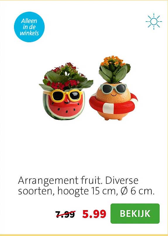 Arrangement fruit. Diverse soorten, hoogte 15 cm, Ø 6 cm.