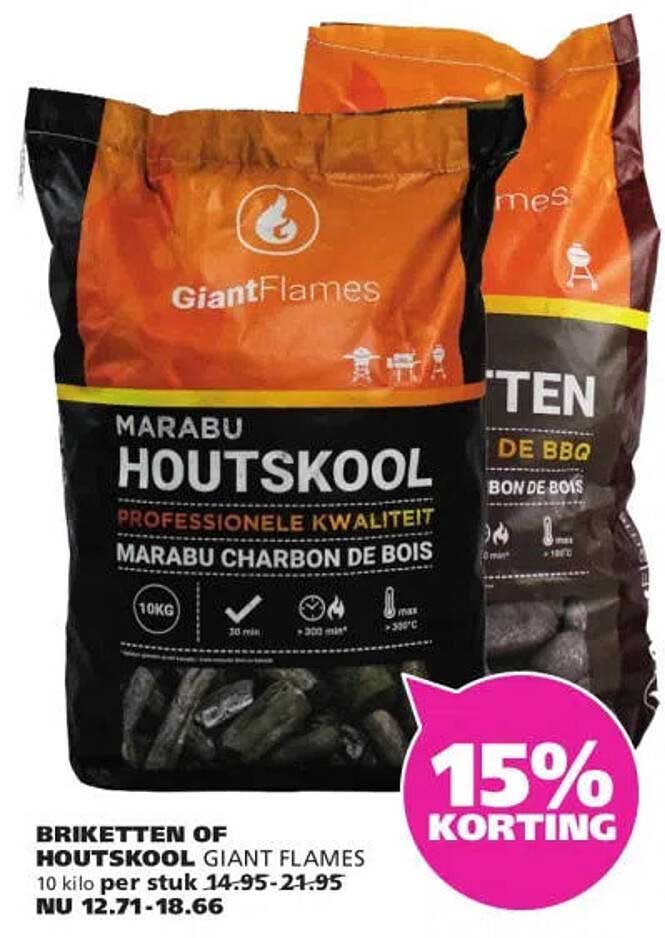 BRIKETTEN OF HOUTSKOOL GIANT FLAMES 15% KORTING