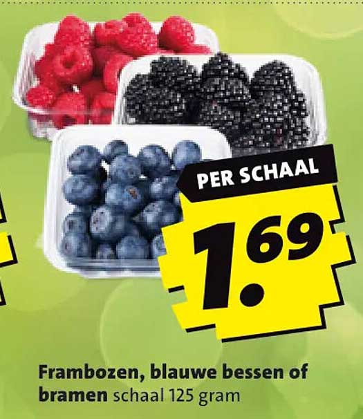 Frambozen, blauwe bessen of bramen schaal 125 gram PER SCHAAL