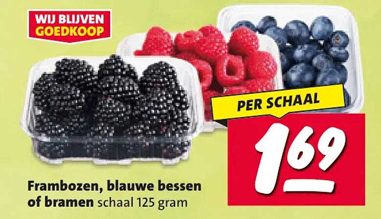 Frambozen, blauwe bessen of bramen schaal 125 gram PER SCHAAL