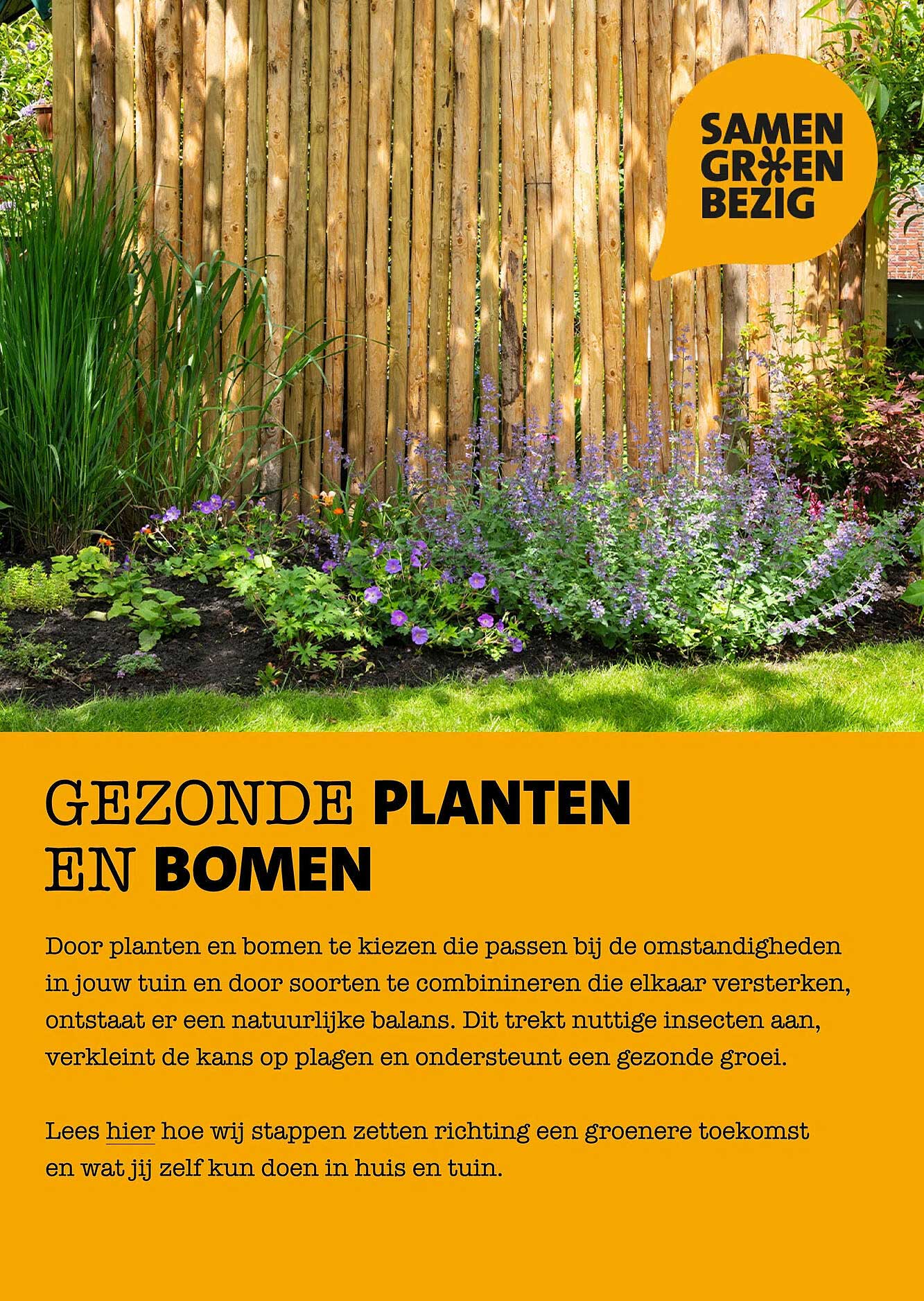 GEZONDE PLANTEN EN BOMEN