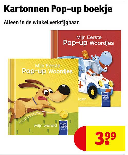 Kartonnen Pop-up boekje