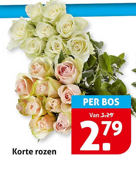 Korte rozen