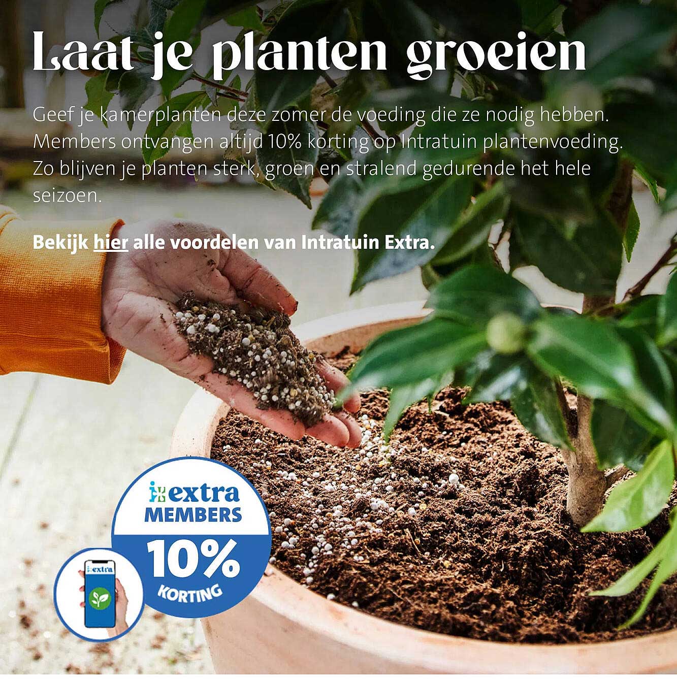Laat je planten groeien