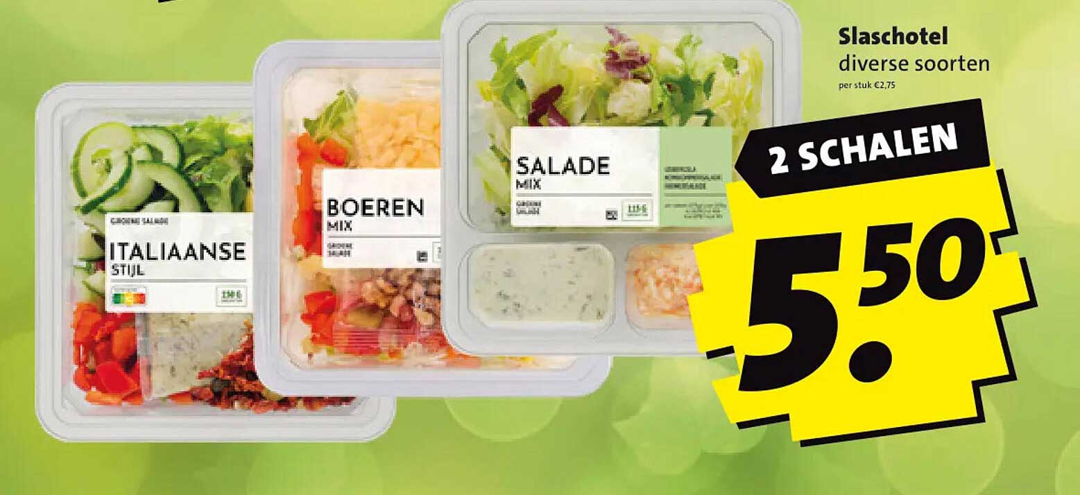 Slaschotel diverse soorten 2 SCHALEN