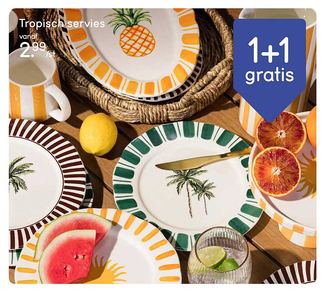 Tropisch servies 1+1 gratis