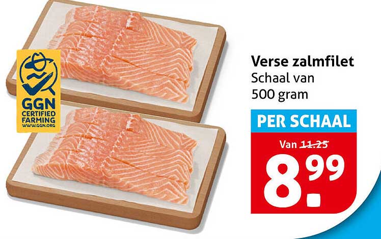 Verse zalmfilet Schaal van 500 gram PER SCHAAL