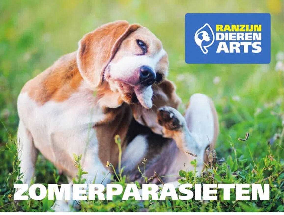 ZOMERPARASIETEN