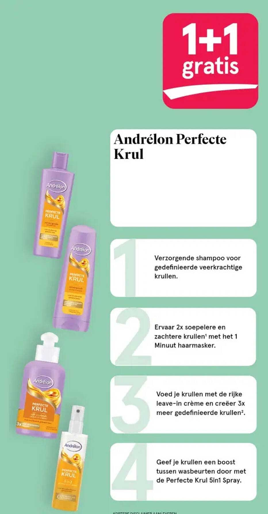 Andrélon Perfecte Krul