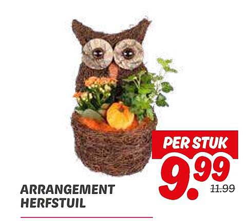 ARRANGEMENT HERFSTUIL
