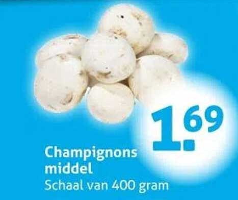 Champignons middel