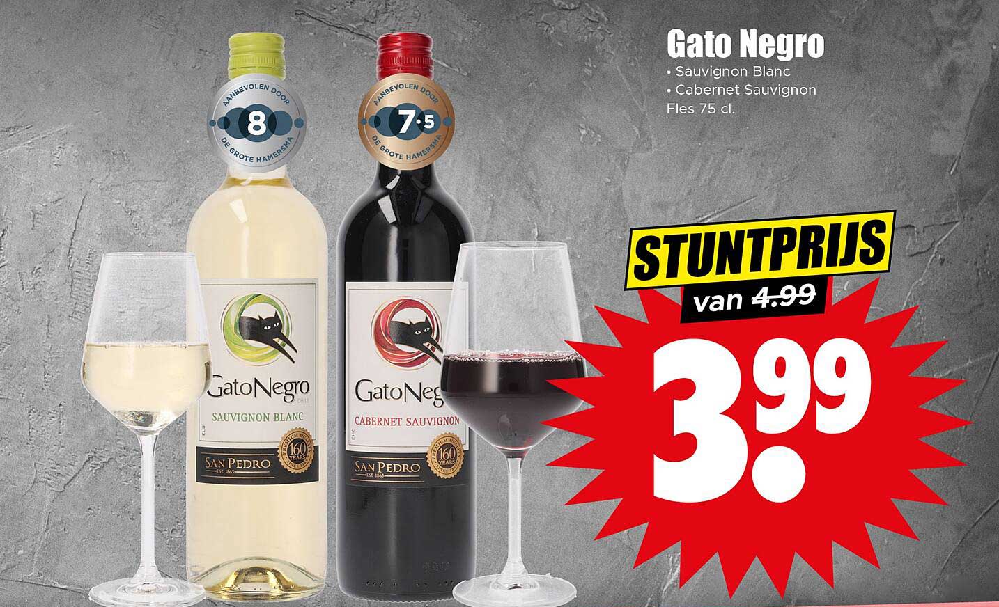 Gato Negro