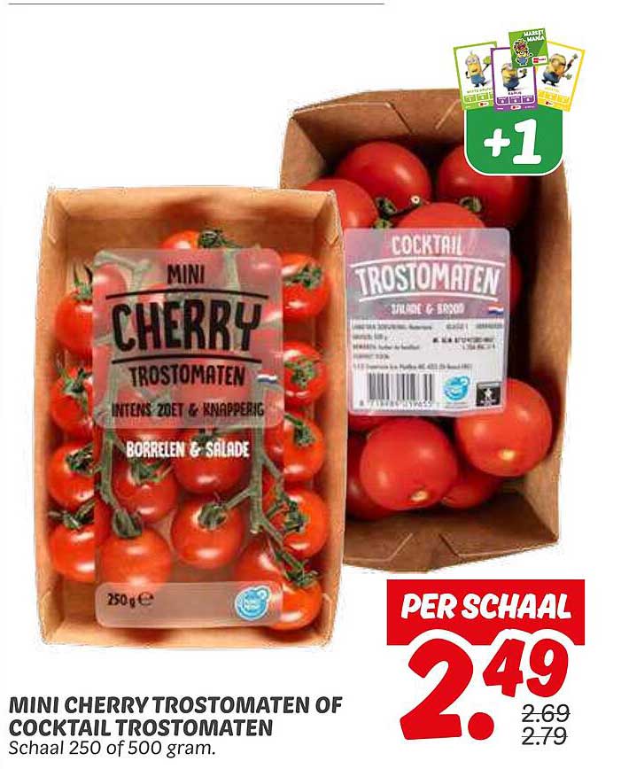 MINI CHERRY TROSTOMATEN OF COCKTAIL TROSTOMATEN