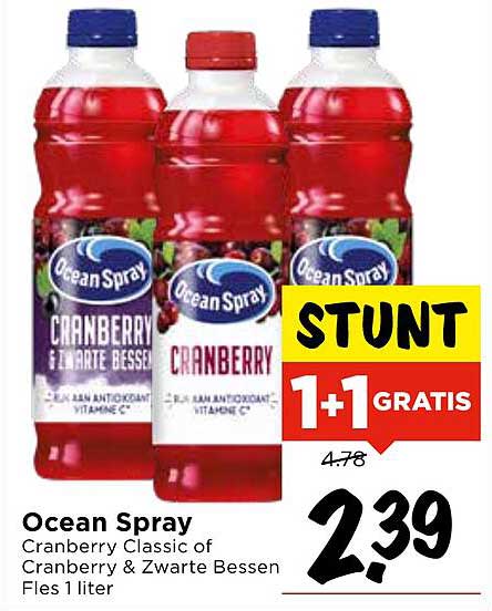 Ocean Spray Cranberry Classic of Cranberry & Zwarte Bessen Fles 1 liter