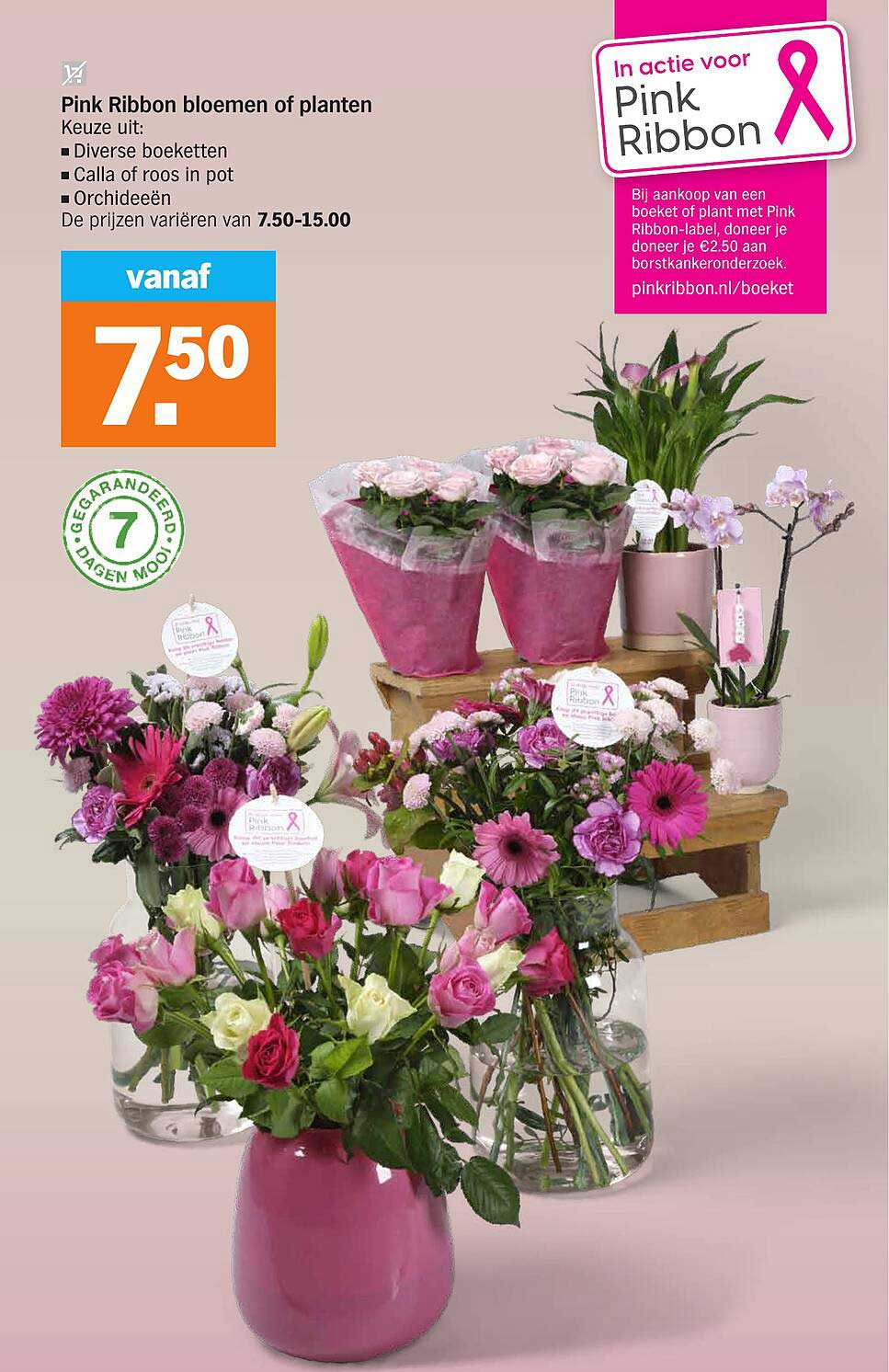 Pink Ribbon bloemen of planten
