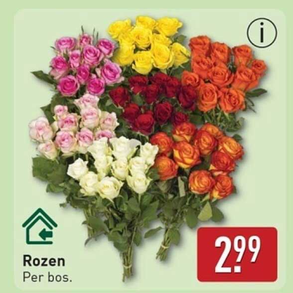 Rozen Per bos