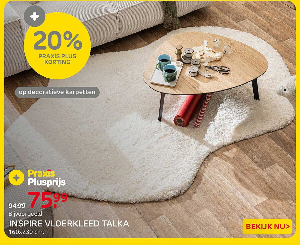 20% PRAXIS PLUS KORTING op decoratieve karpetten