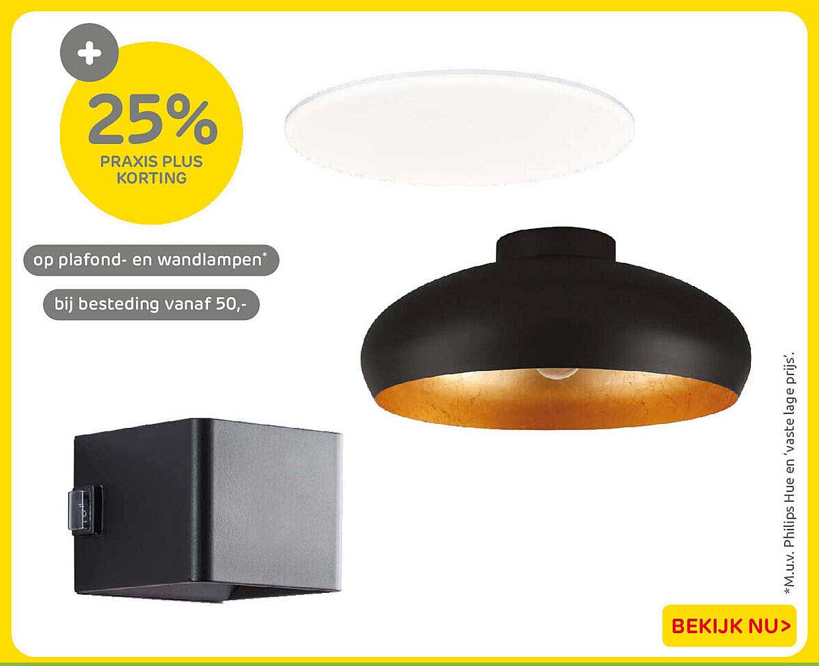 25% Praxis Plus korting op plafond- en wandlampen* bij besteding vanaf 50,-