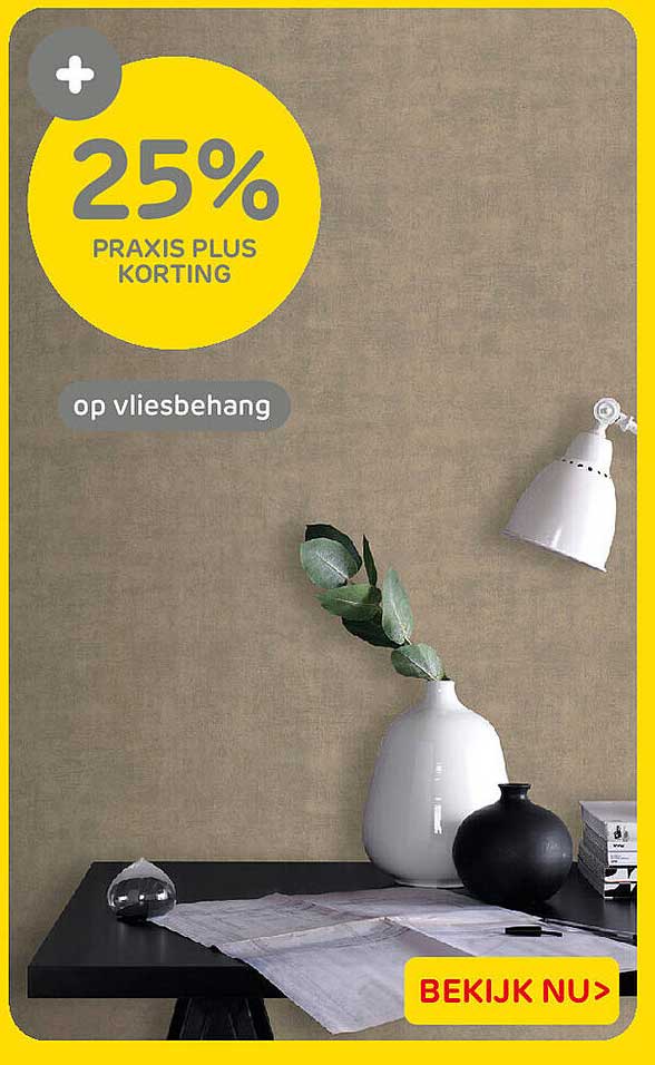 25% Praxis Plus korting op vliesbehang