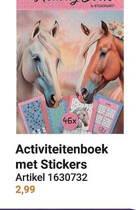 Activiteitenboek met Stickers