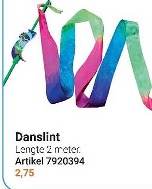 Danslint