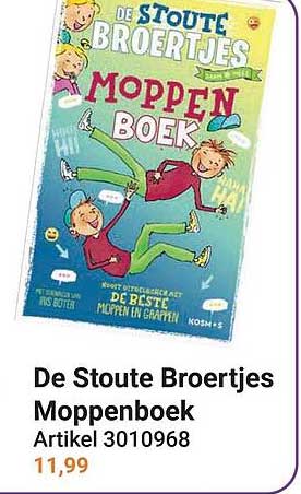 De Stoute Broertjes Moppenboek