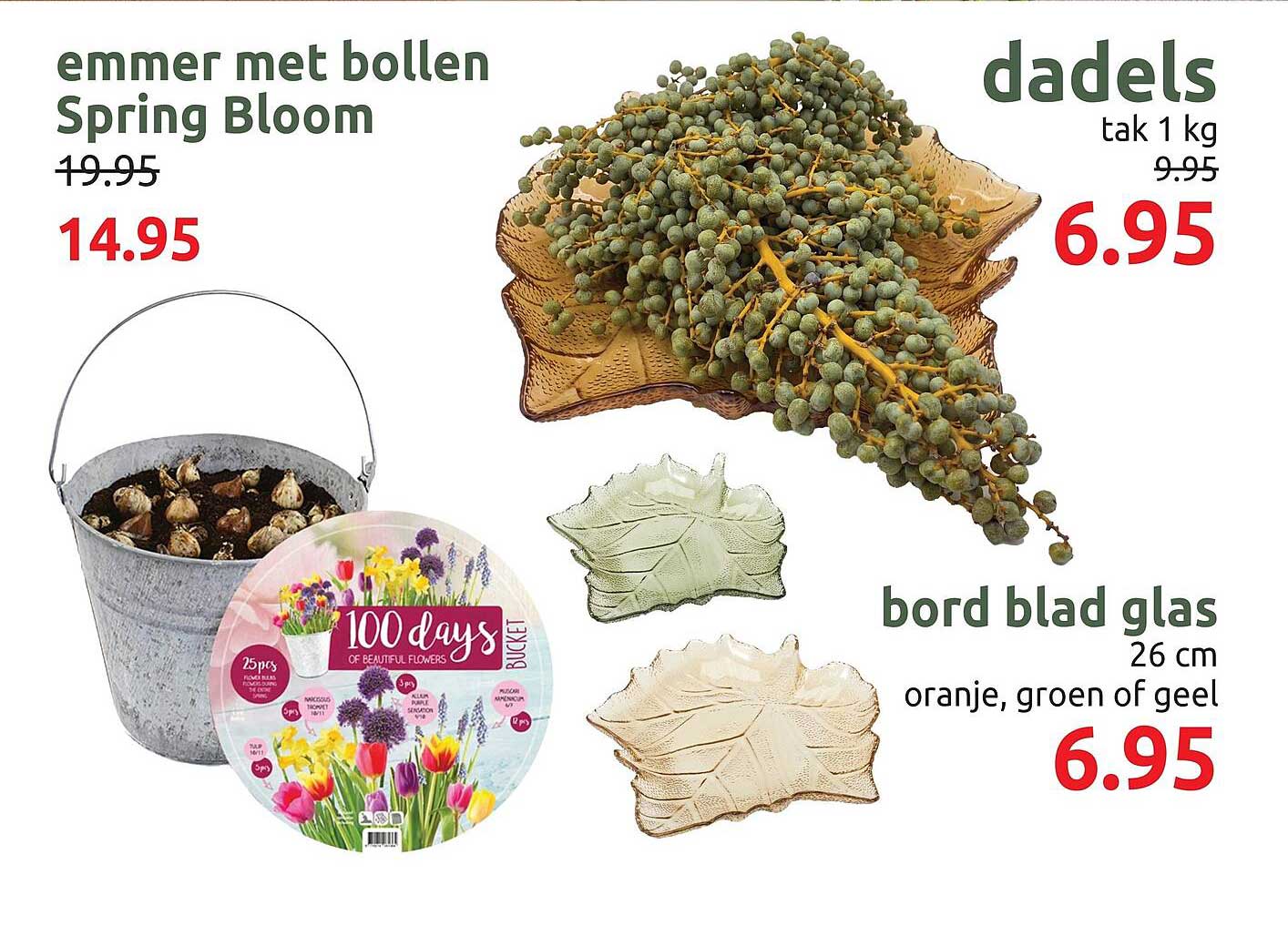 emmer met bollen Spring Bloom