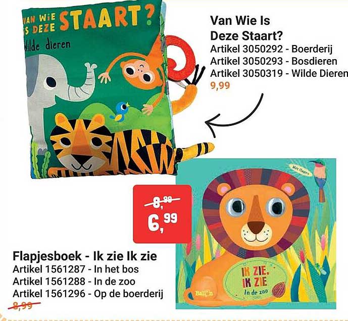Flapjesboek - Ik zie Ik zie