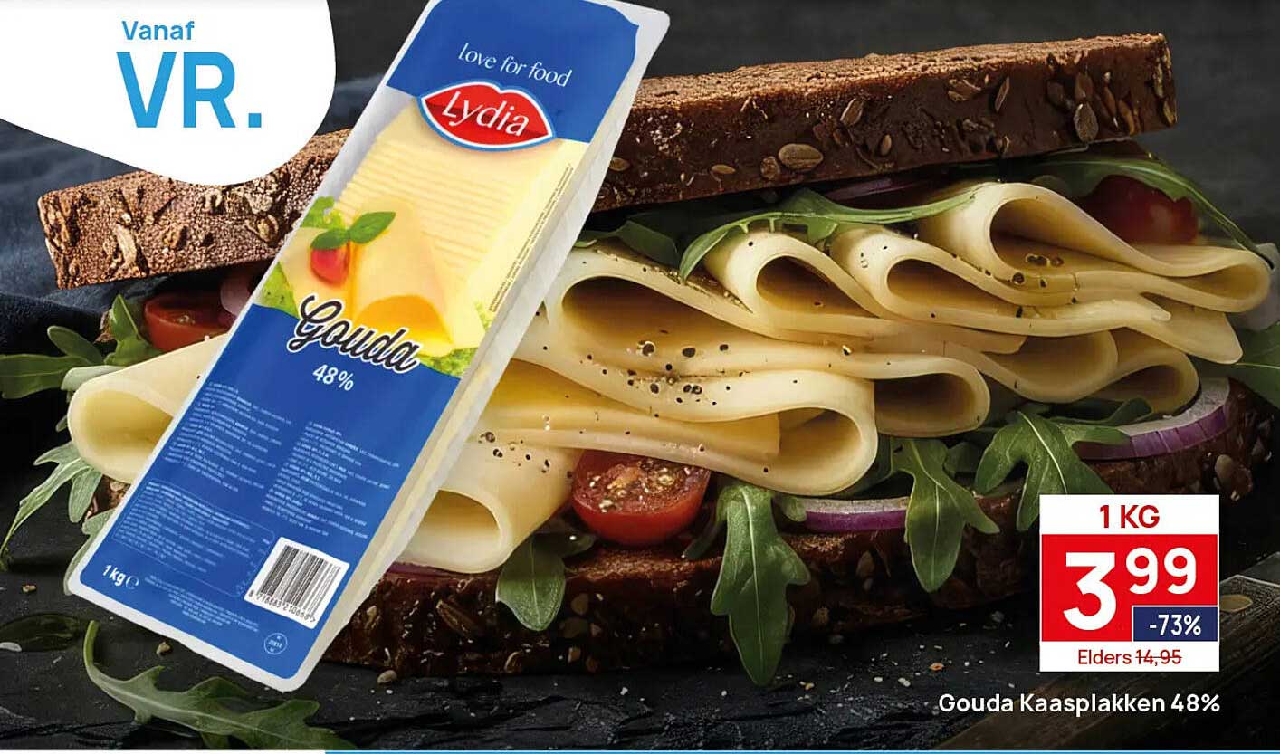 Gouda Kaasplakken 48%