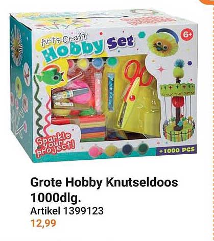 Grote Hobby Knutseldoos 1000dlg.