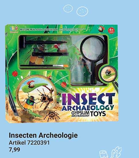Insecten Archeologie